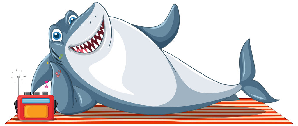 NaviShark